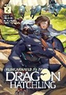 Necoco, Nekoko, NAJI Yanagida, NAJI Yanagida - Reincarnated as a Dragon Hatchling (Light Novel) Vol. 2