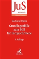 Michae Martinek, Michael Martinek, Sebastian Omlor - Grundlagenfälle zum BGB für Fortgeschrittene
