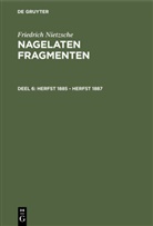 Friedrich Nietzsche, Mark Wildshut - Friedrich Nietzsche: Nagelaten fragmenten - Deel 6: Herfst 1885 - herfst 1887