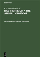 Deutsche Zoologische Gesellschaft, Maximilian Fischer, K. Heidel, R. Hesse, W. Kükenthal, Mertens... - Das Tierreich / The Animal Kingdom - Lieferung 45: Coleoptera. Aphodiinae