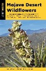 Pam Mackay, Pam Thomas Mackay, Pam Mackay Thomas, Pam Thomas Mackay Thomas, Timothy Thomas, Thomas Timothy - Mojave Desert Wildflowers