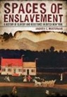 Andrea C. Mosterman - Spaces of Enslavement