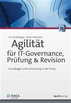 Ur Andelfinger, Urs Andelfinger, Urs (Prof. Dr.) Andelfinger, Petra Haferkorn, Petra (Dr. Haferkorn - Agilität für IT-Governance, Prüfung & Revision