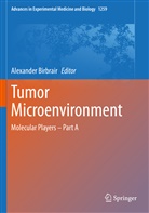 Alexande Birbrair, Alexander Birbrair - Tumor Microenvironment