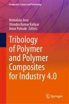 Hemalata Jena, Jitendra Kumar Katiyar, Jitendr Kumar Katiyar, Jitendra Kumar Katiyar, Amar Patnaik - Tribology of Polymer and Polymer Composites for Industry 4.0