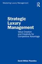 David Millan Planelles, David Millán Planelles, David Millán Planelles - Strategic Luxury Management