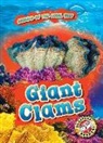 Kate Moening - Giant Clams