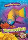 Kate Moening - Parrotfish