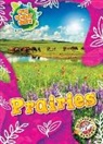 Karen Kenney - Prairies