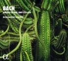 Johann Sebastian Bach - Trio-Sonaten BWV 525-530 (Audio book)