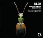 Johann Sebastian Bach - Sonaten & Partiten BWV 1001-1006 (Audio book)
