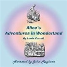 Lewis Carroll, John Rayburn - Alice's Adventures in Wonderland Lib/E (Audio book)