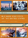 Susan Ockert, Susan Ockert, Ockert Susan - Business Statistics of the United States 2021