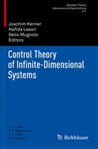 Joachim Kerner, Hafid Laasri, Hafida Laasri, Delio Mugnolo - Control Theory of Infinite-Dimensional Systems