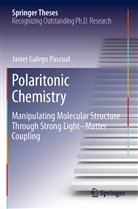 Javier Galego Pascual, Javier Galego Pascual_, Javier Galego Pascual¿ - Polaritonic Chemistry