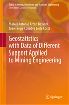 Marcel Antoni Arcari Bassani, Marcel Antonio Arcari Bassani, Coimbra Leite Costa, Joao Felipe Coimbra Leite Costa, João Felipe Coimbra Leite Costa - Geostatistics with Data of Different Support Applied to Mining Engineering