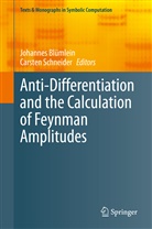 Johanne Blümlein, Johannes Blümlein, Schneider, Schneider, Carsten Schneider - Anti-Differentiation and the Calculation of Feynman Amplitudes