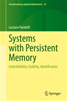 Luciano Pandolfi - Systems with Persistent Memory