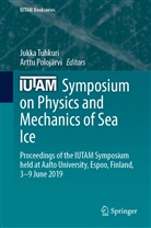 Polojärvi, Polojärvi, Arttu Polojärvi, Jukk Tuhkuri, Jukka Tuhkuri - IUTAM Symposium on Physics and Mechanics of Sea Ice