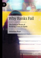 Sebastian Royo, Sebastián Royo - Why Banks Fail