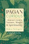 Debra DeAngelo - Pagan Curious