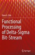 Djuro G Zrilic, Djuro G. Zrilic - Functional Processing of Delta-Sigma Bit-Stream