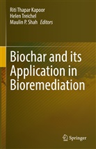 Maulin P Shah, Maulin P. Shah, Riti Thapar Kapoor, Hele Treichel, Helen Treichel - Biochar and its Application in Bioremediation