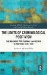 Michele Pifferi, Michele Pifferi, Pifferi Michele - Limits of Criminological Positivism