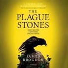 James Brogden, Matthew Lloyd Davies - The Plague Stones Lib/E (Hörbuch)