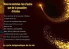 Barbara Stein - Nous ne sommes rien d'autre que de la pousiere d'étoiles