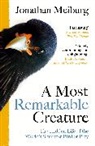 Jonathan Meiburg - A Most Remarkable Creature