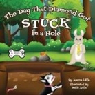 Jeanna Little - The Day That Diamond Got Stuck in a Hole