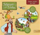 Pettersson Und Findus - Pettersson und Findus - Findus erklärt die Welt, 2 Audio-CD (Hörbuch)