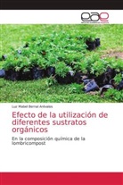 Luz Mabel Bernal Arévalos - Efecto de la utilización de diferentes sustratos orgánicos