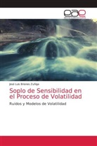 José Luis Briones Zuñiga - Soplo de Sensibilidad en el Proceso de Volatilidad