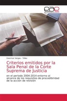 Geormar Vargas - Téllez, Geormar Vargas -. Téllez - Criterios emitidos por la Sala Penal de la Corte Suprema de Justicia