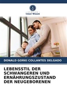 Donald Gorki Collantes Delgado - LEBENSSTIL DER SCHWANGEREN UND ERNÄHRUNGSZUSTAND DER NEUGEBORENEN