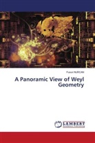Füsun Nurcan - A Panoramic View of Weyl Geometry