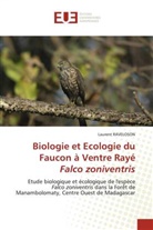 Laurent Raveloson - Biologie et Ecologie du Faucon à Ventre Rayé Falco zoniventris