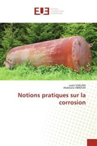 Abdelaziz ABBOUDI, Laala GHELANI - Notions pratiques sur la corrosion