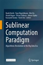 Yuy Higashikawa, Yuya Higashikawa, Hiro Ito, Hiro Ito et al, Naoki Katoh, Atsuki Nagao... - Sublinear Computation Paradigm