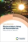 Prof. Yufei (Beijing University of Chemical Zhao, Yufei (Beijing University of Chemical Techno Zhao, Haohong Duan, Haohong (Tsinghua University Duan, Prof. Yufei (Beijing University of Chemical Technology Zhao, Yufei Zhao... - Photocatalysis Using 2d Nanomaterials