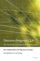 Das Schlüssellabor für Big Data-Strategie, Yuming Lian - Datenrechtsgesetz 2.0