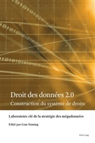 Laboratoire clé de la stratégie des mégadonnées, Yuming Lian - Droit des données 2.0
