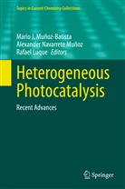 Rafael Luque, Mario J. Muñoz-Batista, Alexande Navarrete Muñoz, Alexander Navarrete Muñoz - Heterogeneous Photocatalysis