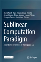 Yuy Higashikawa, Yuya Higashikawa, Hiro Ito, Hiro Ito et al, Naoki Katoh, Atsuki Nagao... - Sublinear Computation Paradigm