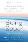 Harry Haroutunian, Steven Tyler - Being Sober