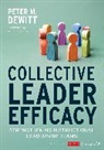 Peter M. DeWitt, Peter M. M. DeWitt, DeWitt Peter M. - Collective Leader Efficacy