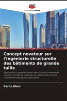 Feroz Alam - Concept novateur sur l'ingénierie structurelle des bâtiments de grande taille
