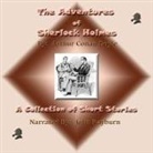 Arthur Conan Doyle, John Rayburn - The Adventures of Sherlock Holmes Lib/E: A Collection of Short Stories (Hörbuch)